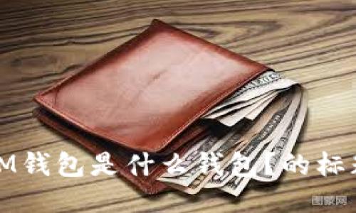 IM钱包是什么钱包?的标题