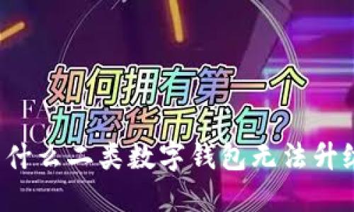 为什么二类数字钱包无法升级?