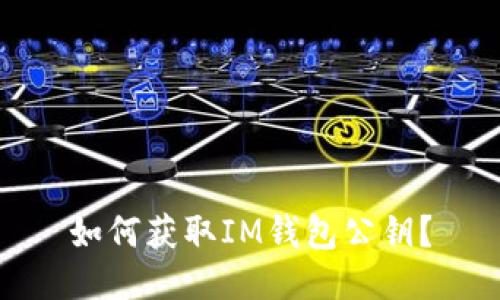 如何获取IM钱包公钥?