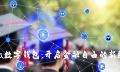 Visa数字钱包：开启金融自