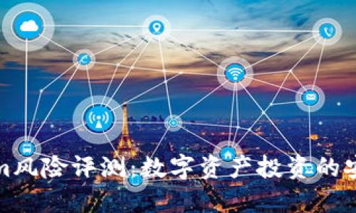 Tokenim风险评测：数字资产投资的安全保障