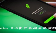 Tokenim 2.0资产关闭后的应对