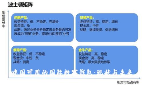 中国可用的国际数字钱包：现状与未来