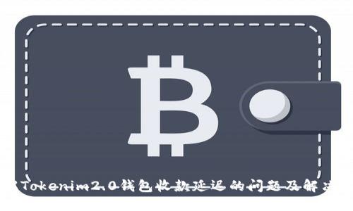 了解Tokenim2.0钱包收款延迟的问题及解决方案