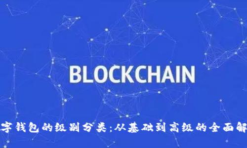 数字钱包的级别分类：从基础到高级的全面解析
