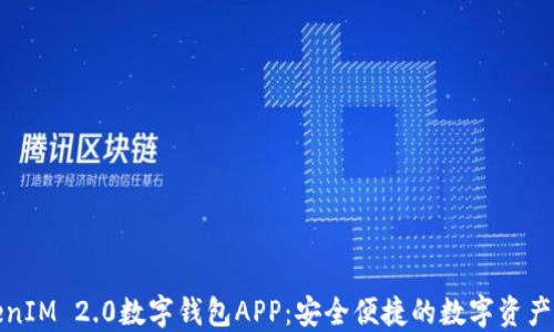 
探索TokenIM 2.0数字钱包APP：安全便捷的数字资产管理工具