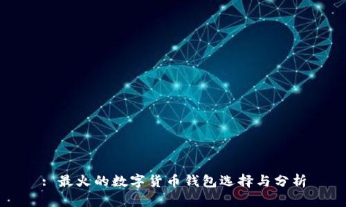 : 最火的数字货币钱包选择与分析
