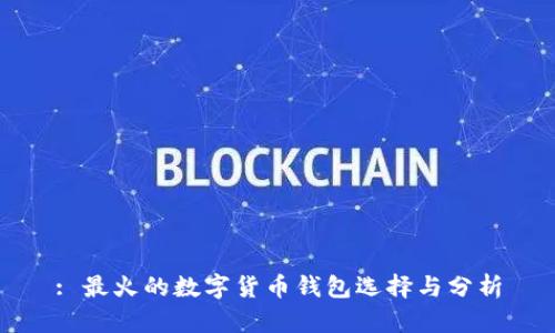 : 最火的数字货币钱包选择与分析