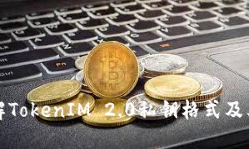 深入理解TokenIM 2.0私钥格式及其重要性