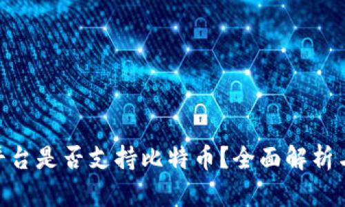 Tokenim平台是否支持比特币？全面解析与实用指南