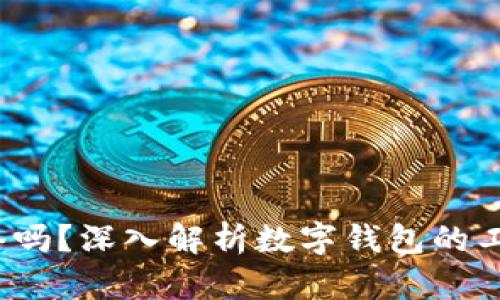  数字钱包需要网络吗？深入解析数字钱包的工作原理与应用场景