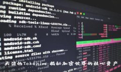 大佬的Tokenim：揭秘加密世