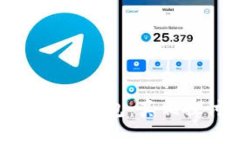 Tokenim 2.0钱包：真相探讨与