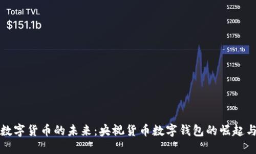 央行数字货币的未来：央视货币数字钱包的崛起与挑战