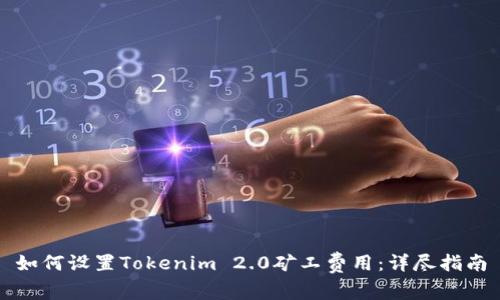 如何设置Tokenim 2.0矿工费用：详尽指南