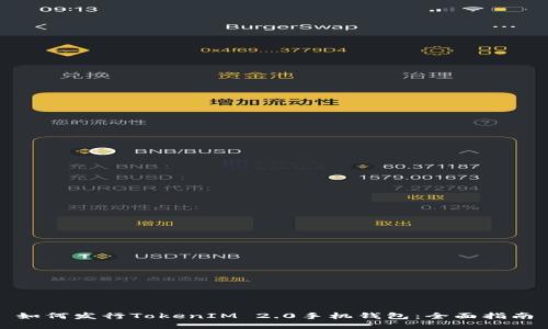 如何发行TokenIM 2.0手机钱包：全面指南