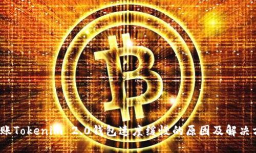  转账Tokenim 2.0钱包速度缓慢的原因及解决方案