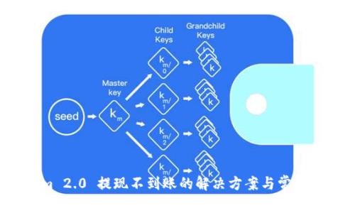  Tokenim 2.0 提现不到账的解决方案与常见问题解析
