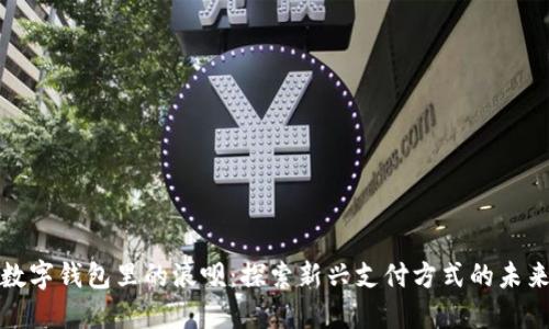数字钱包里的浪呗：探索新兴支付方式的未来