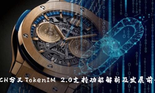  BCH分叉TokenIM 2.0支持功能解析及发展前景 