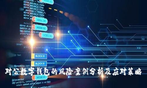 对公数字钱包的风险案例分析及应对策略