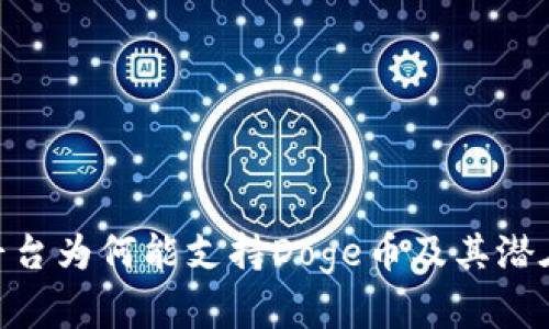Tokenim平台为何能支持Doge币及其潜在价值分析