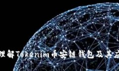 : 深入理解Tokenim币安链钱