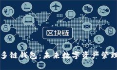 SV区块链多链钱包：未来数