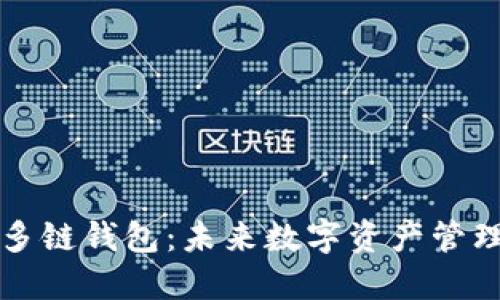 SV区块链多链钱包：未来数字资产管理的新选择