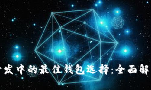 区块链开发中的最佳钱包选择：全面解析与比较