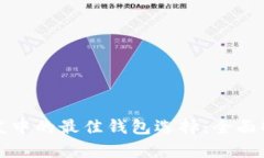 区块链开发中的最佳钱包