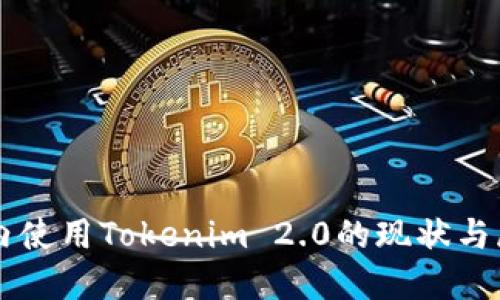 国内使用Tokenim 2.0的现状与展望