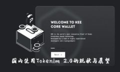 国内使用Tokenim 2.0的现状与