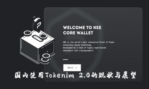 国内使用Tokenim 2.0的现状与展望
