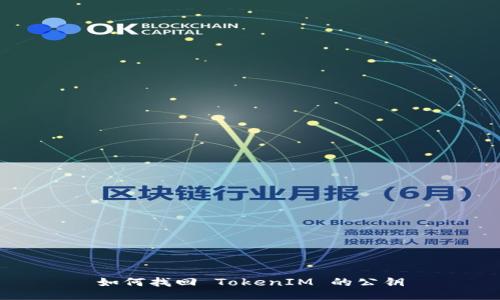 如何找回 TokenIM 的公钥