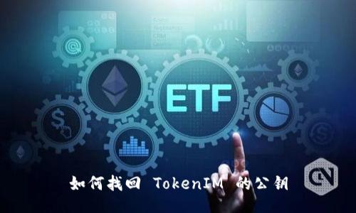 如何找回 TokenIM 的公钥
