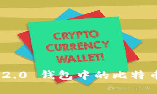 Tokenim 2.0 钱包中的比特币名称解析