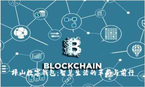 坪山数字钱包：智慧生活的革新与前行