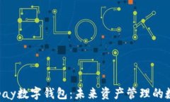 探索Kapay数字钱包：未来资