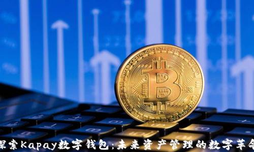 
探索Kapay数字钱包：未来资产管理的数字革命