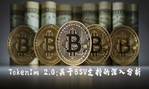 TokenIm 2.0：关于BSV支持的深入分析