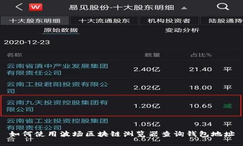如何使用波场区块链浏览器查询钱包地址
