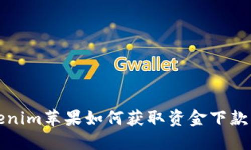 Tokenim苹果如何获取资金下款指导
