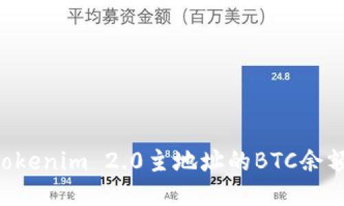 如何查询Tokenim 2.0主地址的BTC余额：全面指南
