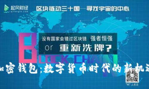 人民币加密钱包：数字货币时代的新机遇与挑战