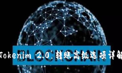 Tokenim 2.0 转账高级选项详解