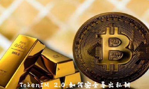 
TokenIM 2.0：如何安全导出私钥