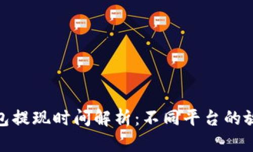 数字钱包提现时间解析：不同平台的放款时效