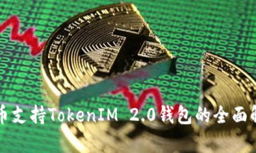 火币支持TokenIM 2.0钱包的全面解析