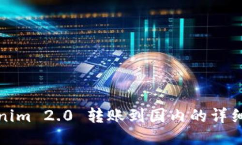 Tokenim 2.0 转账到国内的详细指南